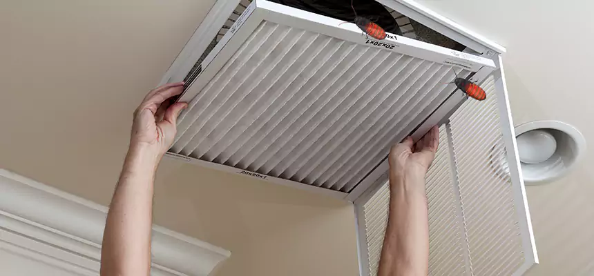 Preventive Cockroach-Proofing for Ducts in Vacaville