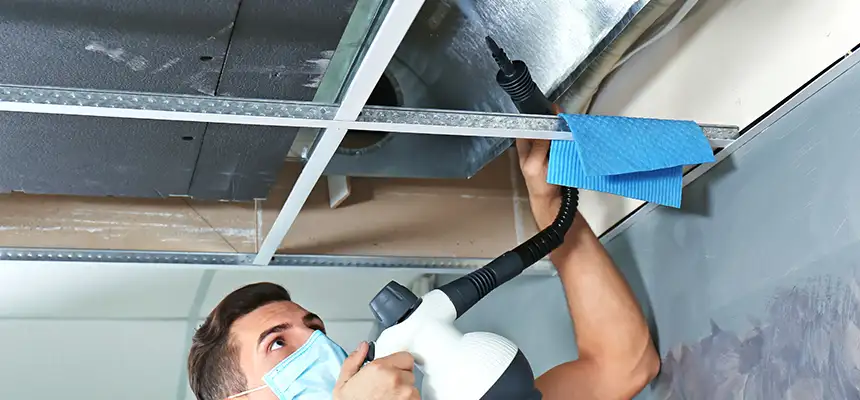 Our Air Duct Rodent Removal Services in Vacaville, CA