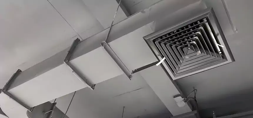 Restorative Allergy Relief Vent Cleaning – Coil, Blower & Housing Detail in Vacaville