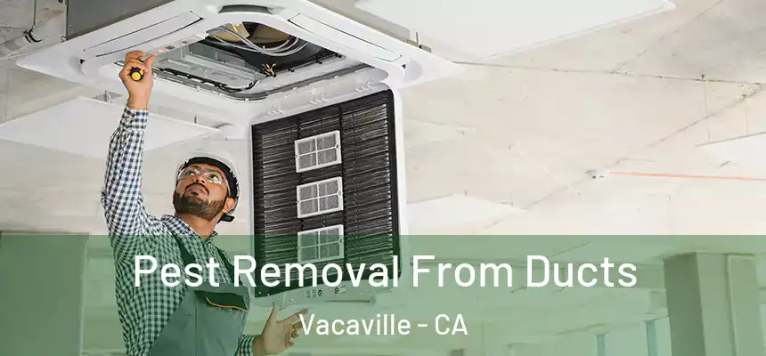 Pest Removal From Ducts Vacaville - CA