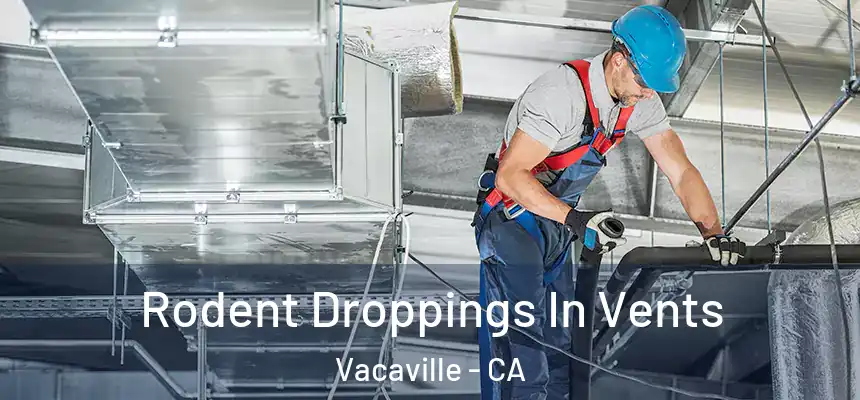  Rodent Droppings In Vents Vacaville - CA