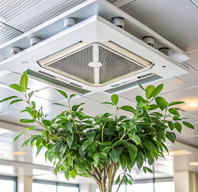 Why Homeowners & Businesses Trust Us in Vacaville, CA