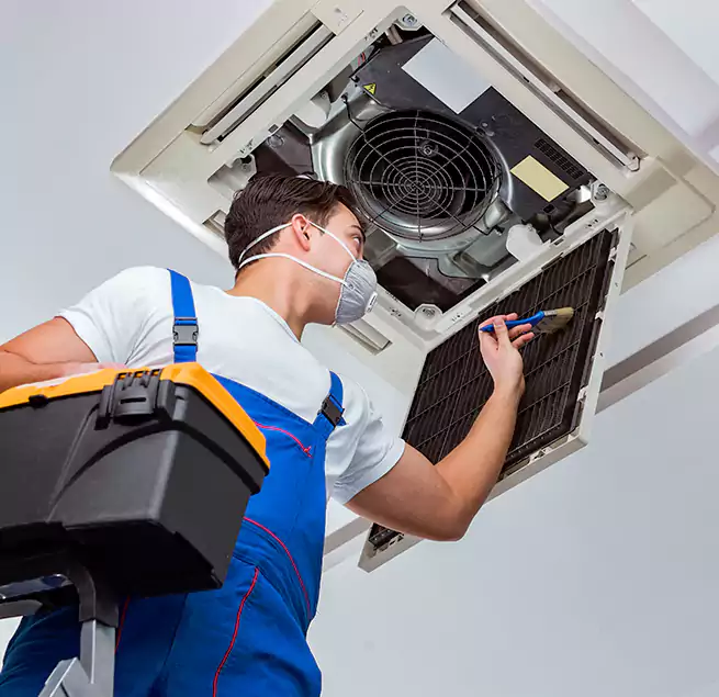 Why Homeowners & Businesses Trust Us in Vacaville, CA?