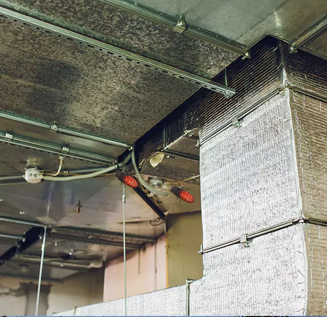 Why Homeowners & Businesses Trust Us Vacaville, CA?