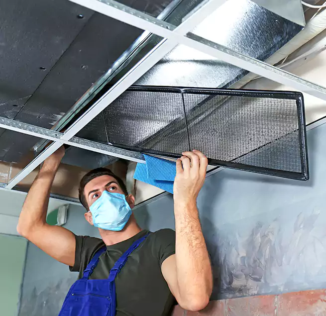 Why Homeowners Businesses Trust Us in Vacaville, CA